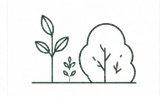 Garden makeovers